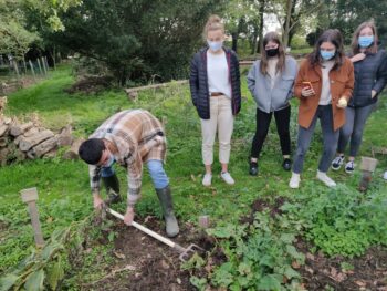 récolte potager nov.2020