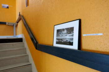 exposition photo - BTS tourisme 2