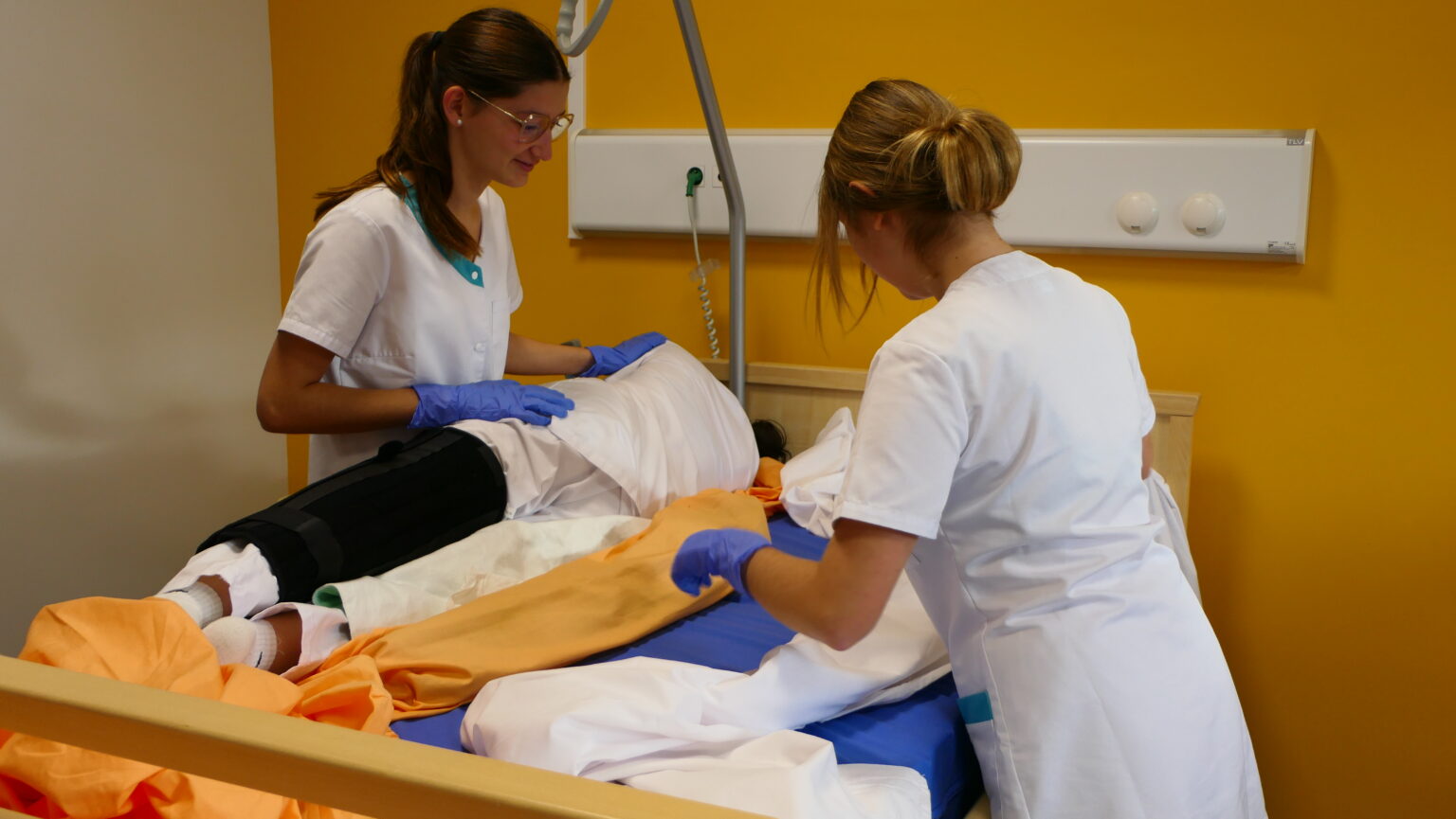 BAC PRO soins et services à la personne ASSP Lycée — free download